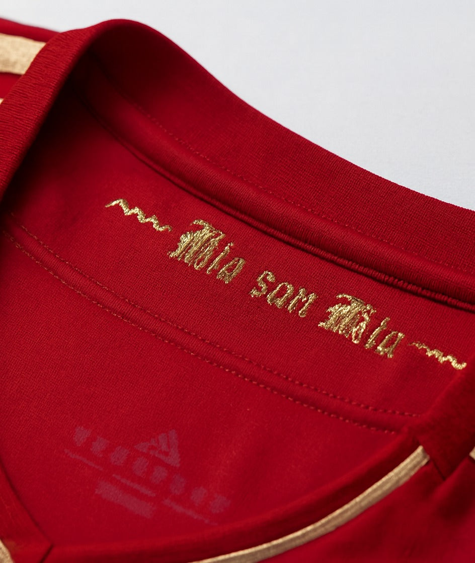 Bayern Munich 2012/13 home shirt — collar close-up