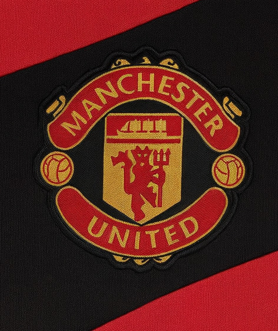 Manchester United 2009/10 home shirt — club crest close-up
