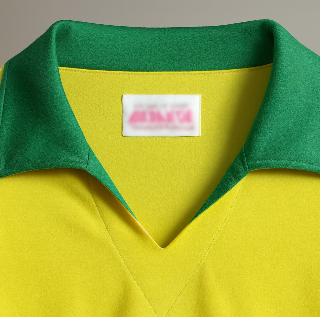 Brazil 1958 home shirt — collar close-up