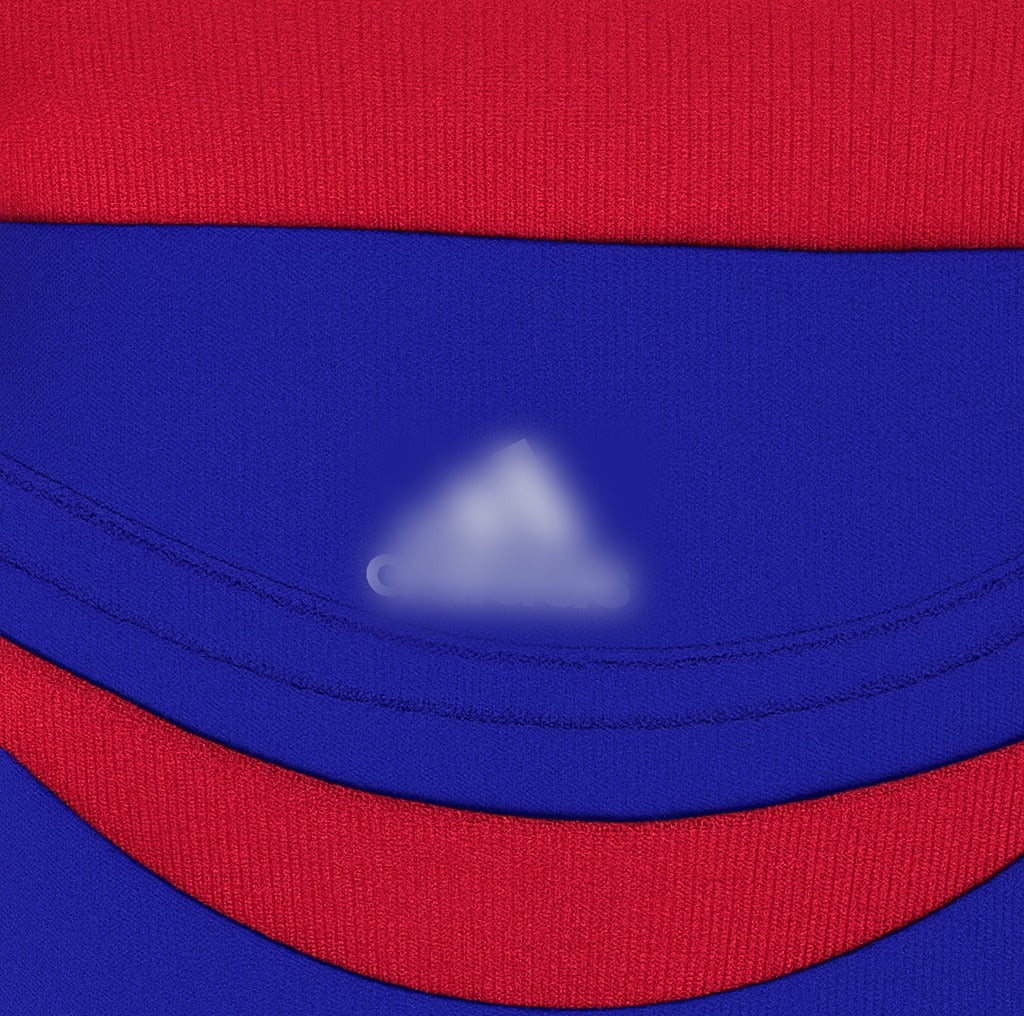 France 2006 home shirt — collar close-up